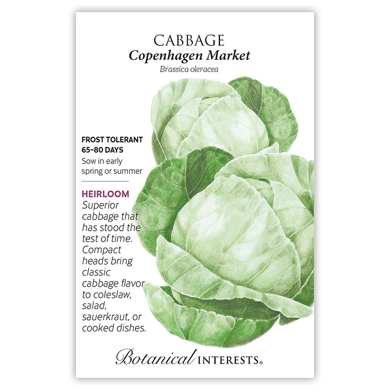 Cabbage Copenhagen Market
