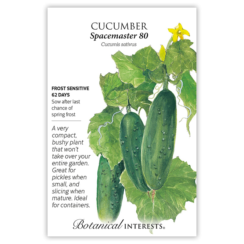 Ccucumber Spacemaster