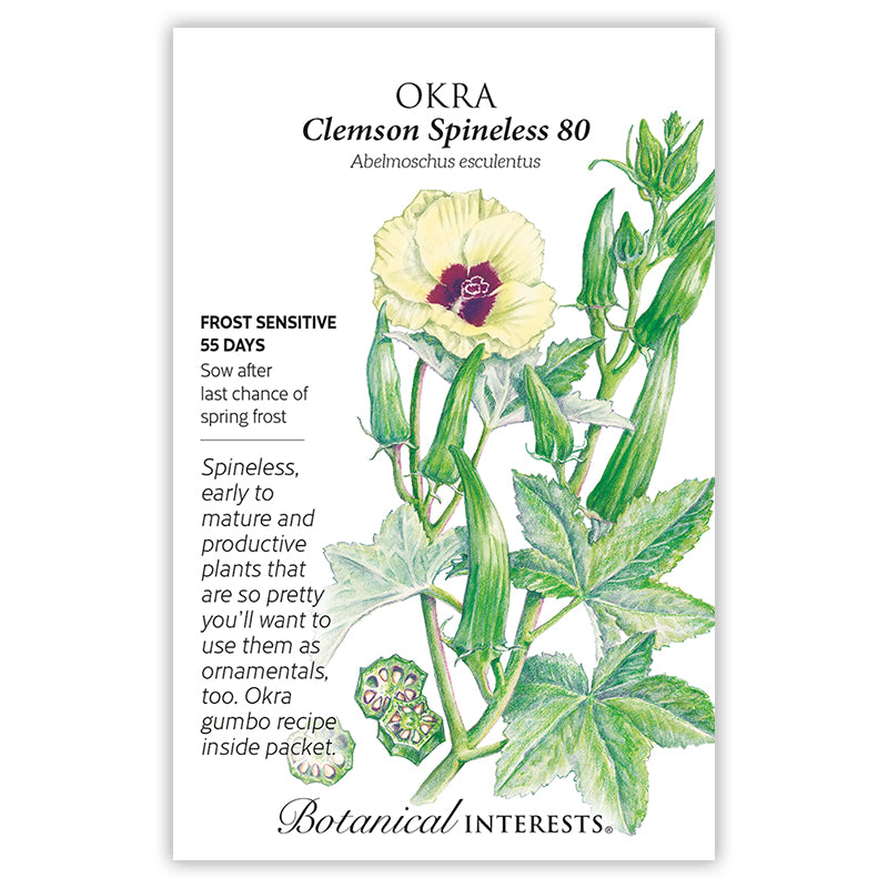 Okra Clemson Spineless 80