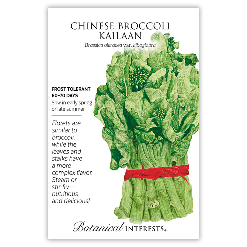 Broccoli Chinese Kailaan