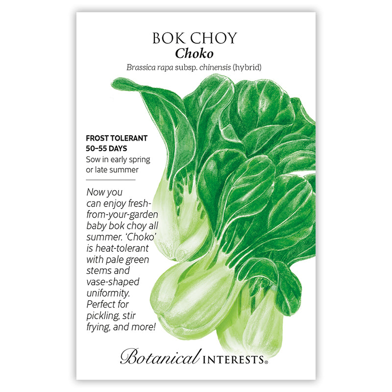Bok Choy Choko Hybrid
