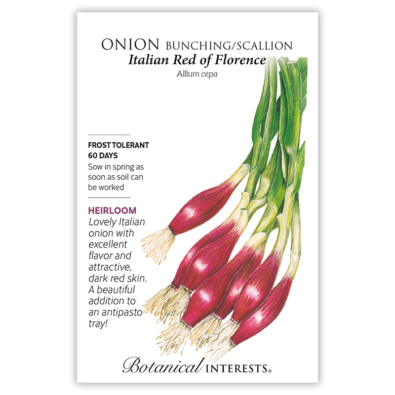 Onion Bunching Red Italian