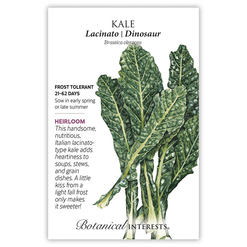 Kale Lacinato/Dinosaur