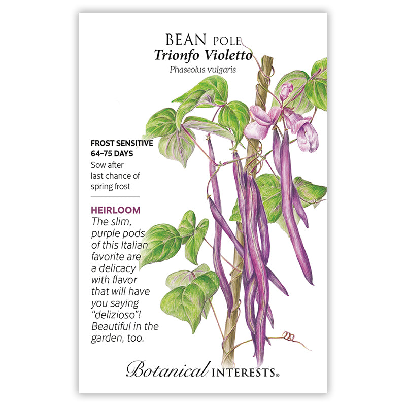 Bean Pole Trionfo Violetto