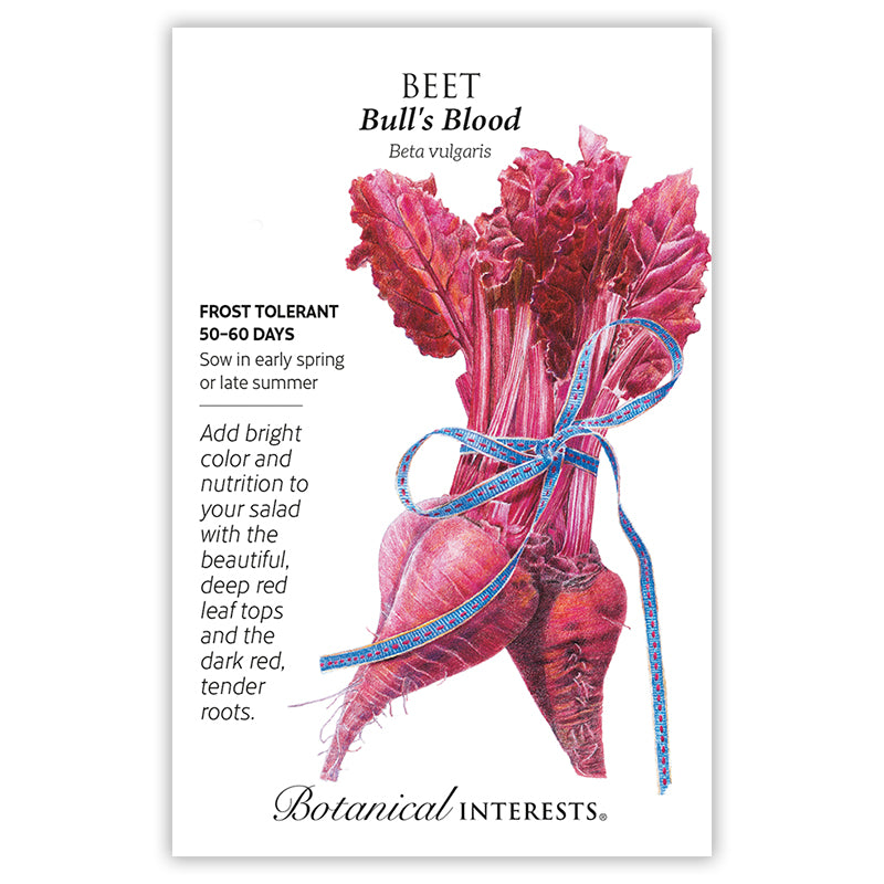 Beet Red Bulls Blood