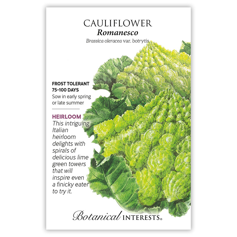 Cauliflower Romanesco