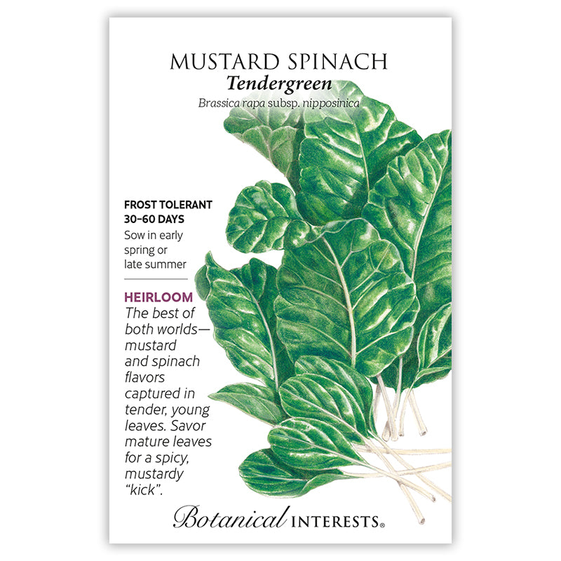 Mustard Spinach Tendergreen