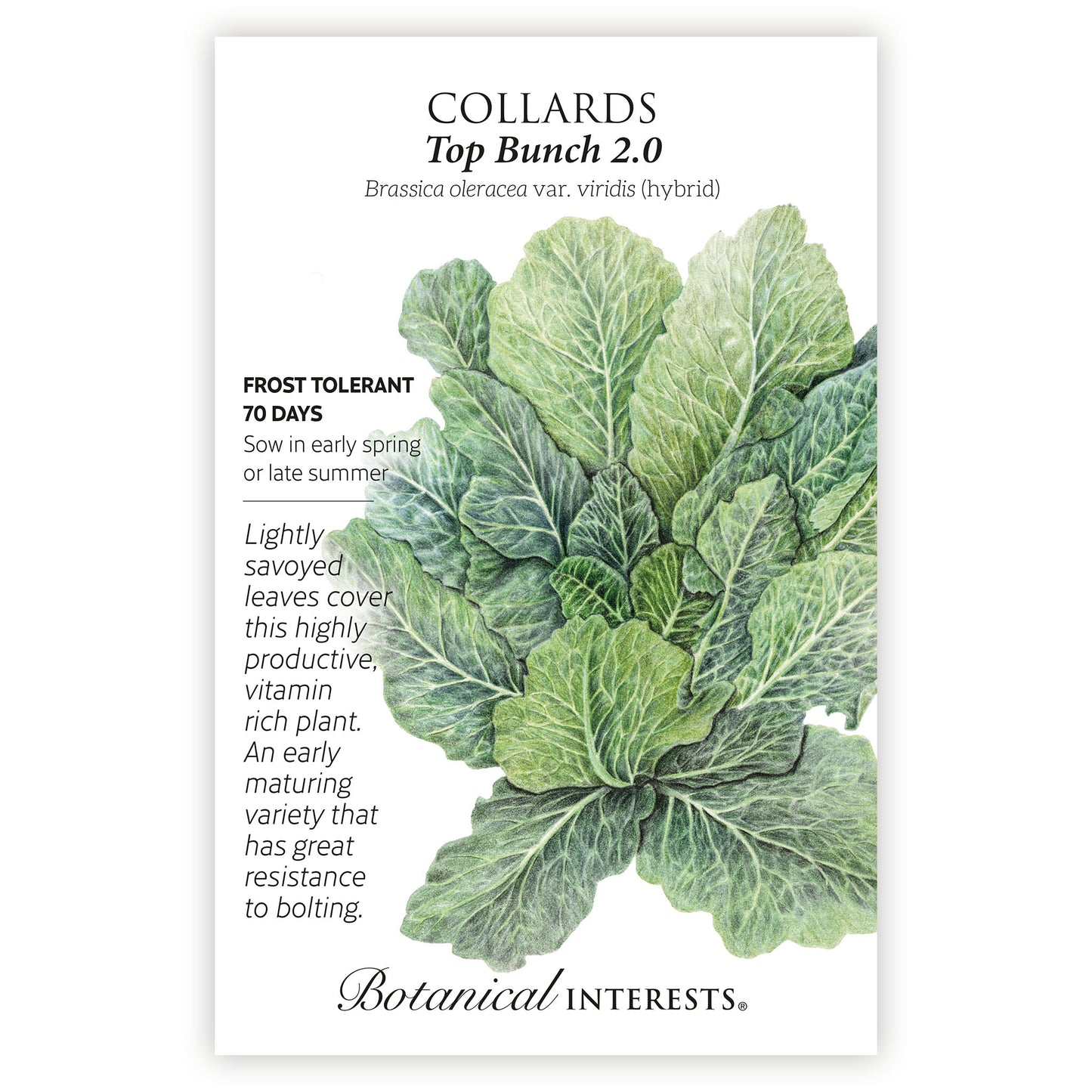 Collards Top Bunch hybrid