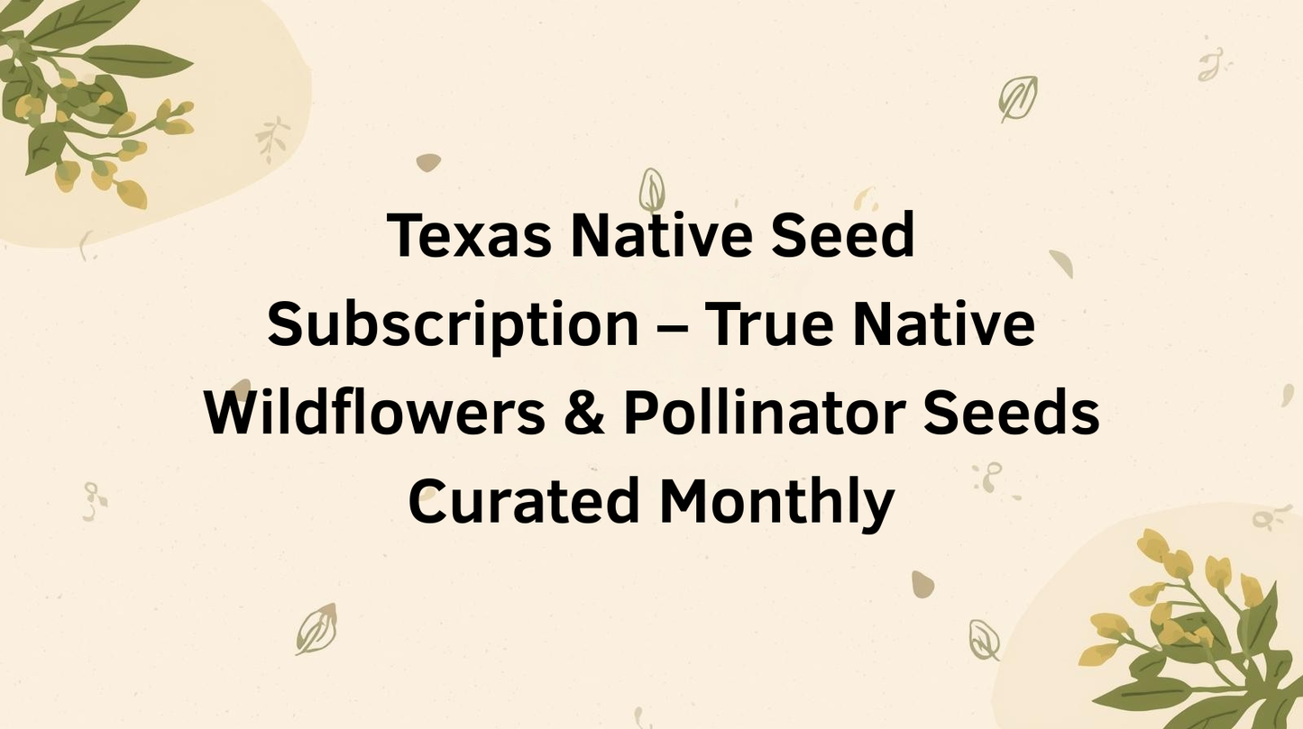 Texas Native Seed Subscription – True Native Wildflowers & Pollinator Seeds Curated Monthly