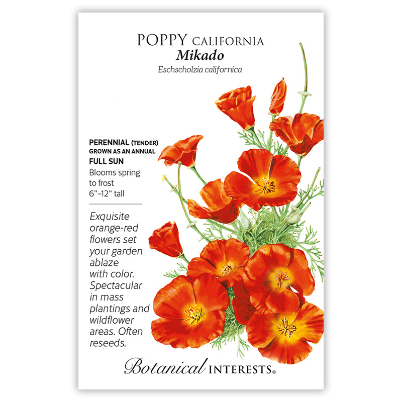 Poppy California Mikado