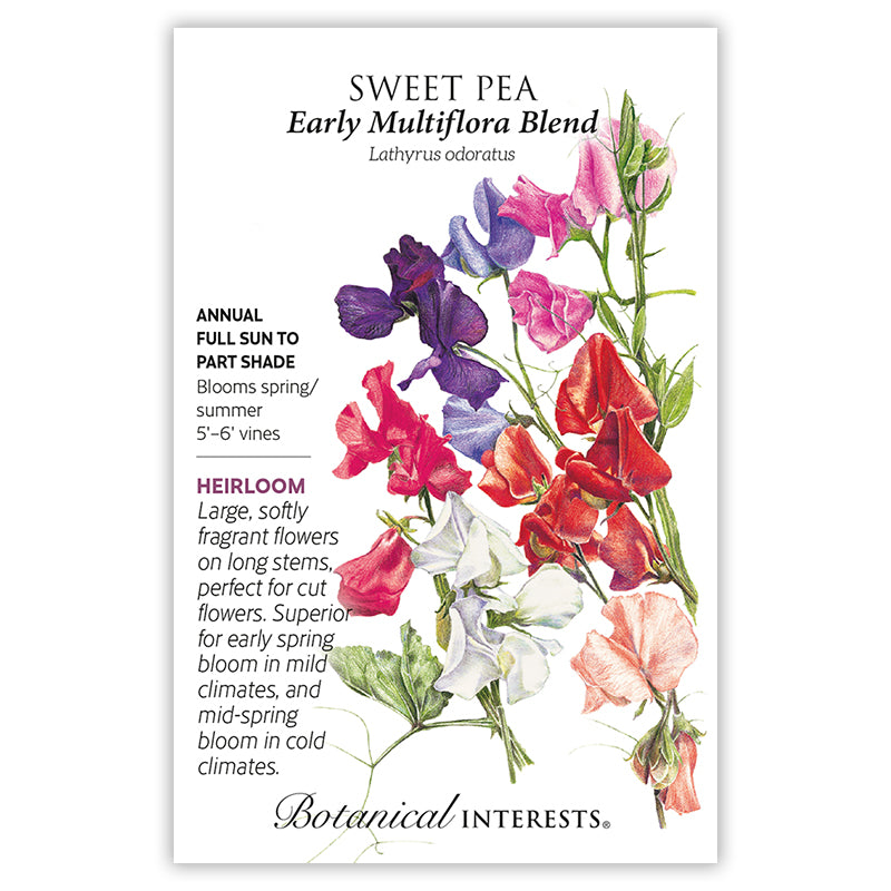 Sweet Pea Early Multiflora Blend