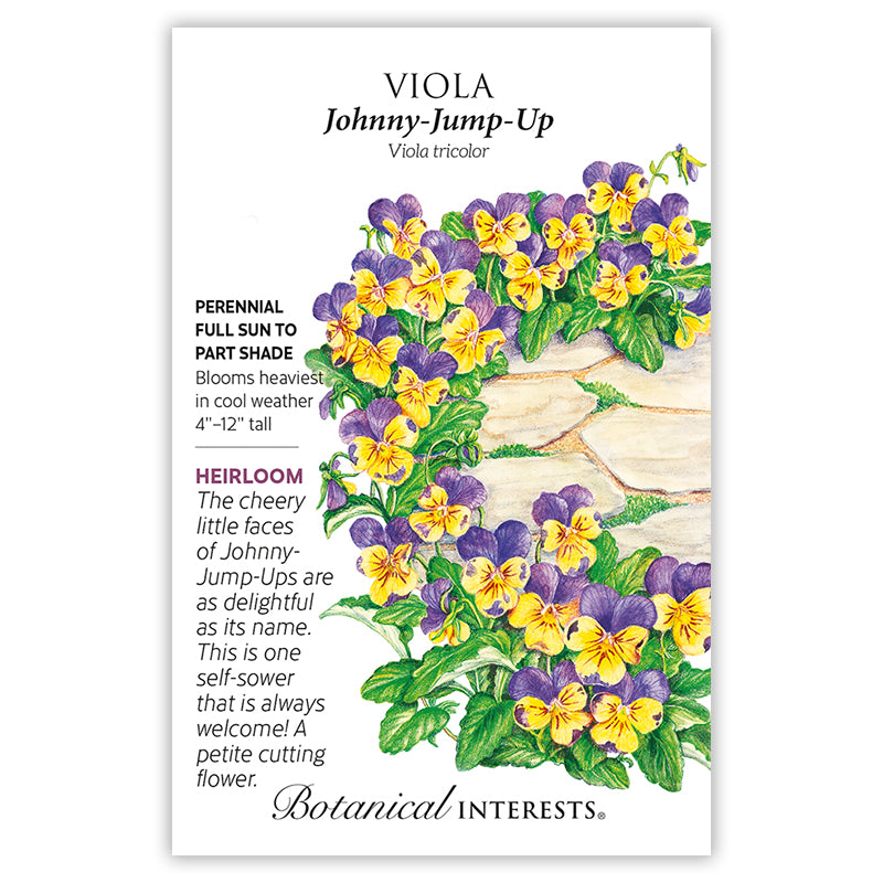 Viola Johnny Jump Up