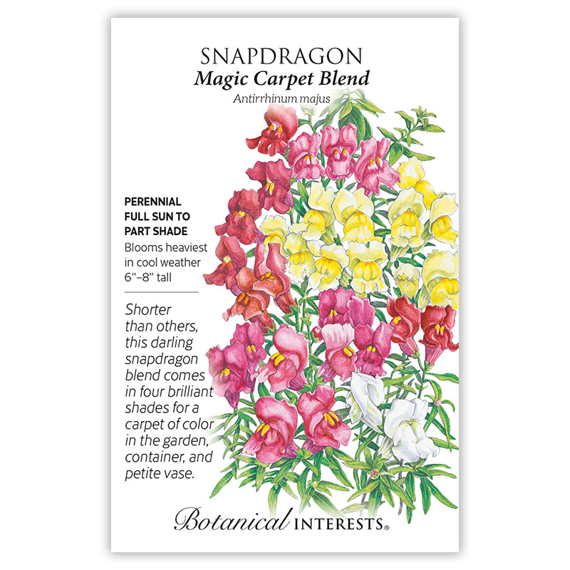 Snapdragon Magic Carpet Blend