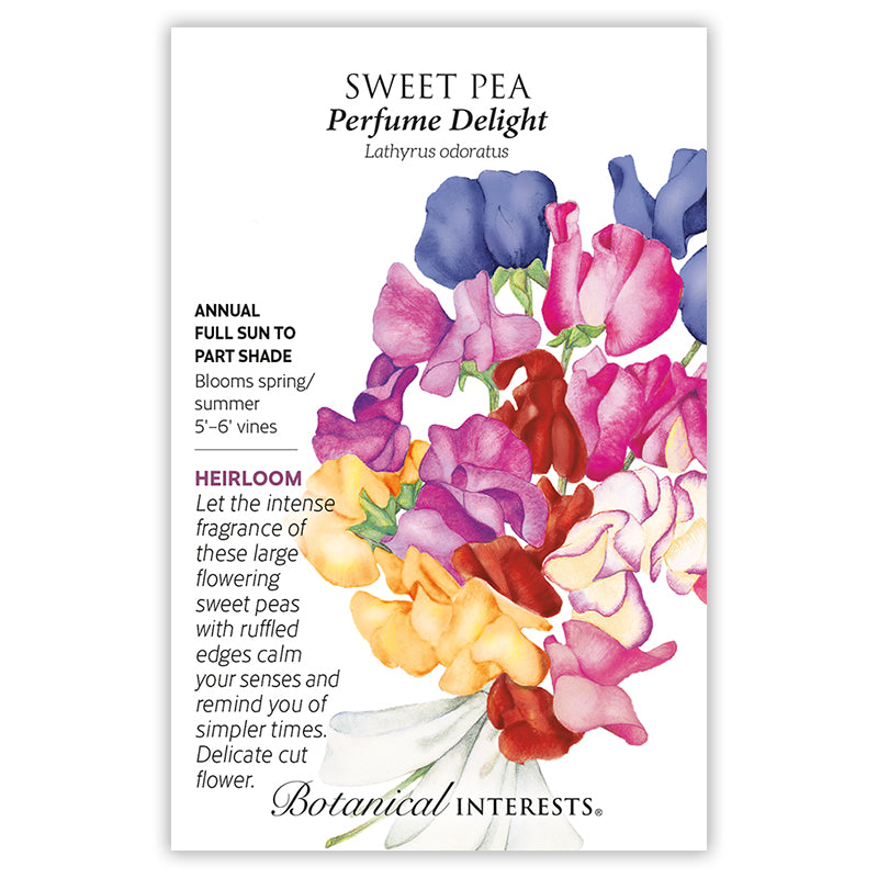 Sweet Pea Perfume Delight Blend