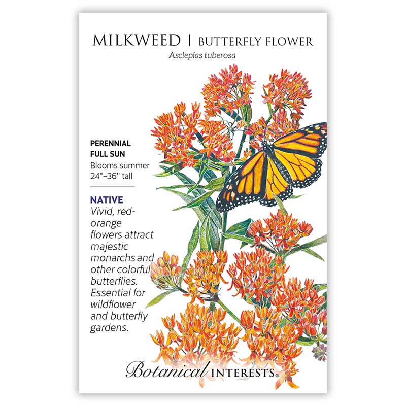 Milkweed Butterfly Flower