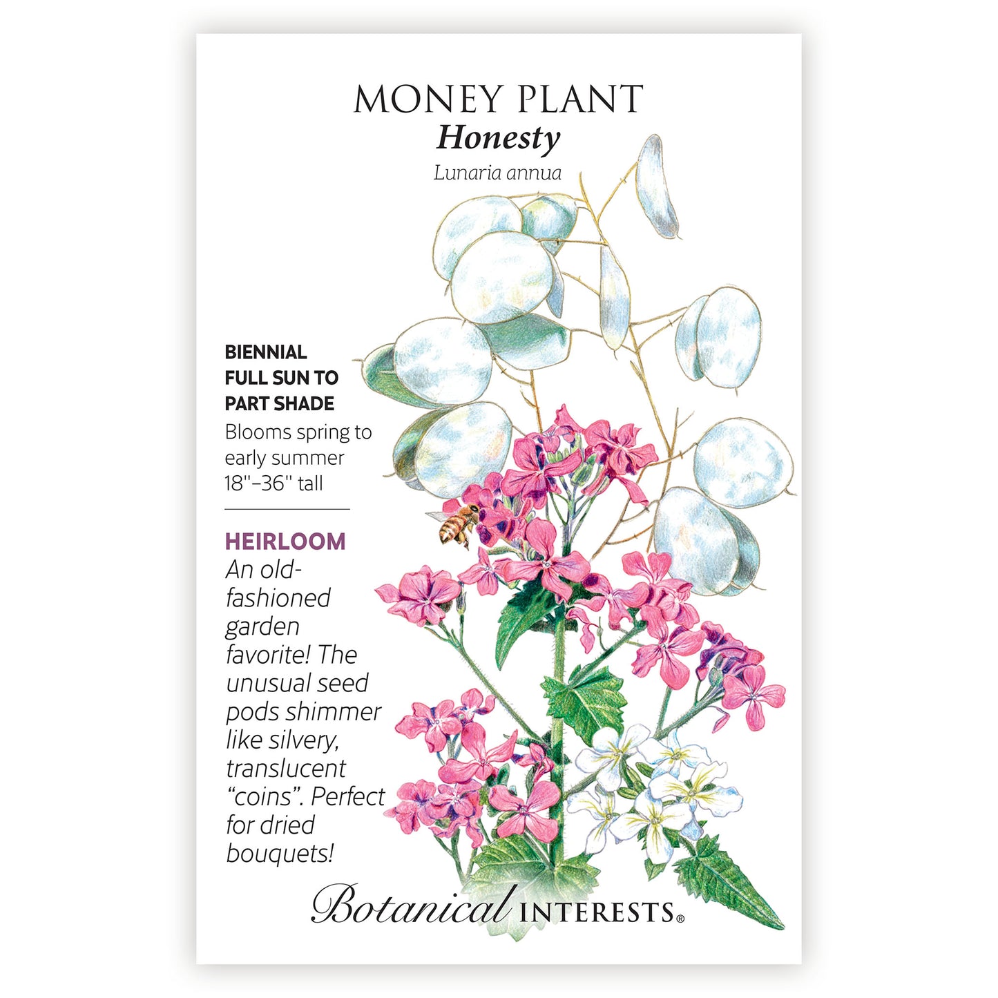 Money Plant Honesty