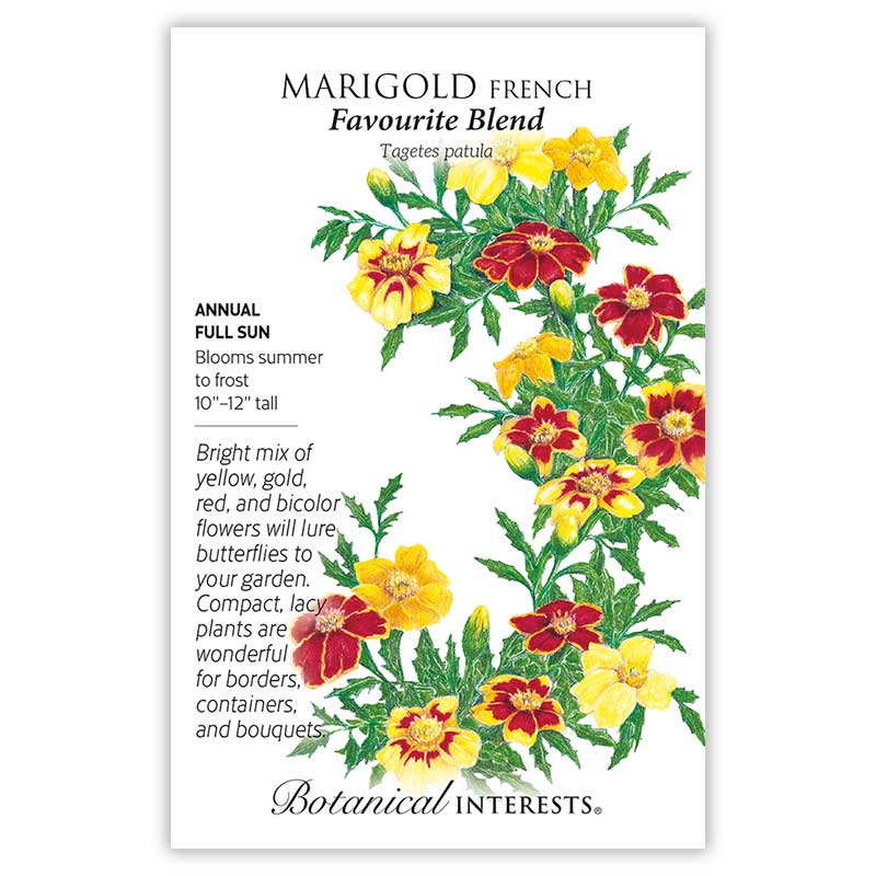 Marigold French Favourite Blend