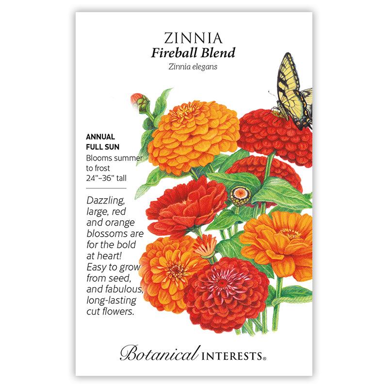 Zinnia Flowerball Blend