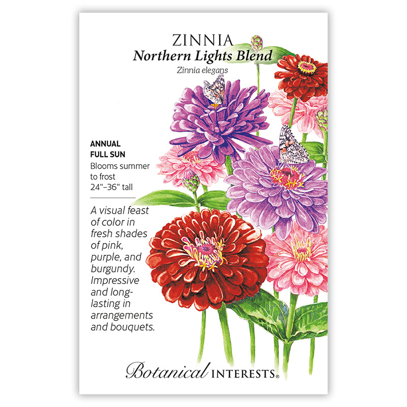 Zinnia Northern Light Blend