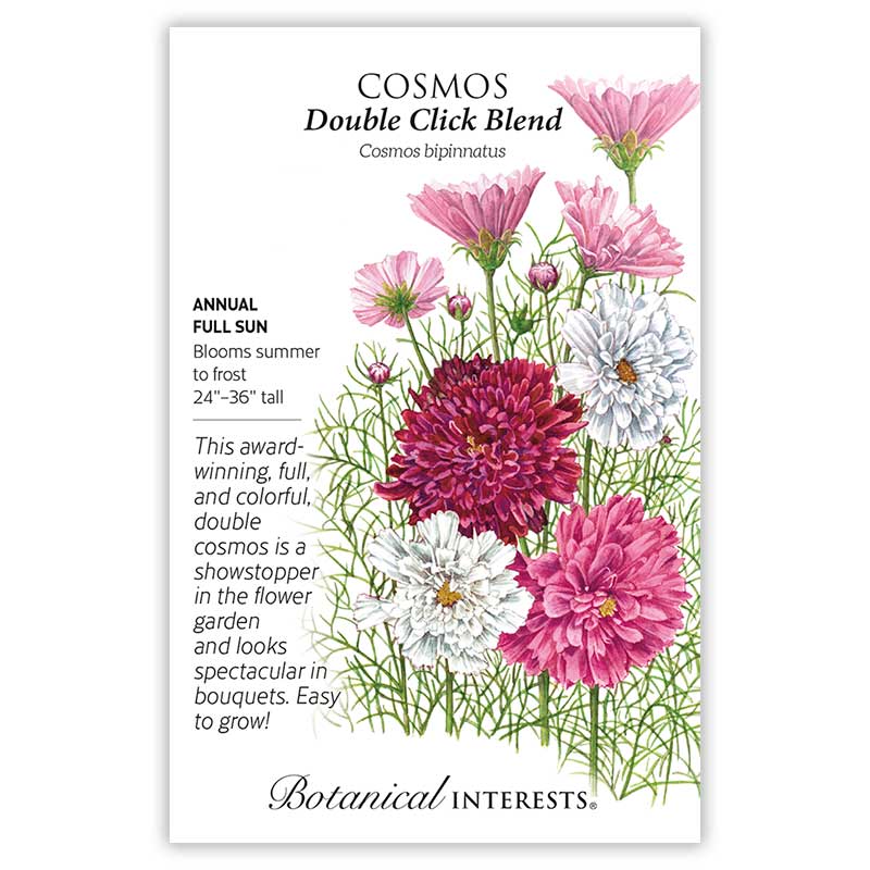 Cosmos Double Click Blend
