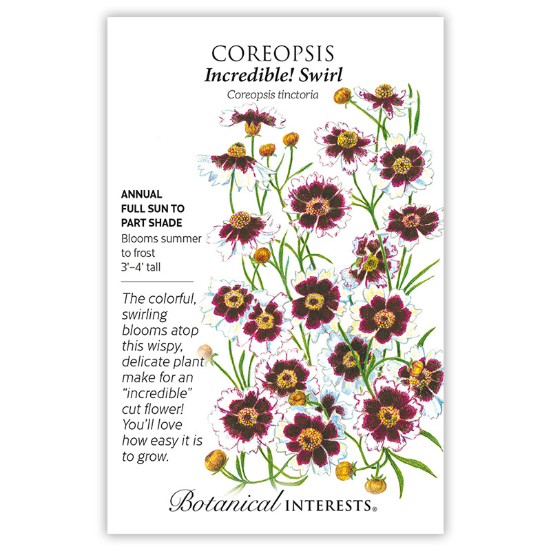 Coreopsis Incredible Swirl