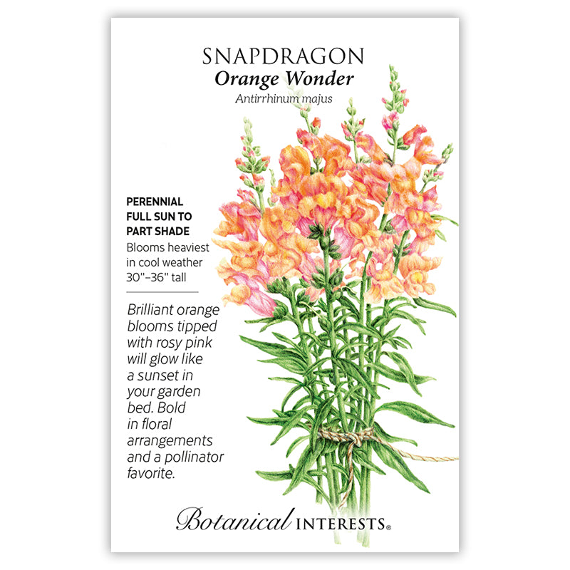 Snapdragon Orange Wonder