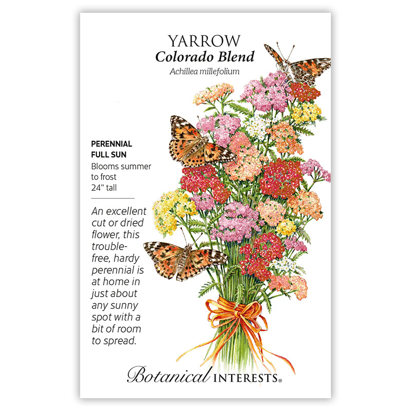 Yarrow Colorado Blend