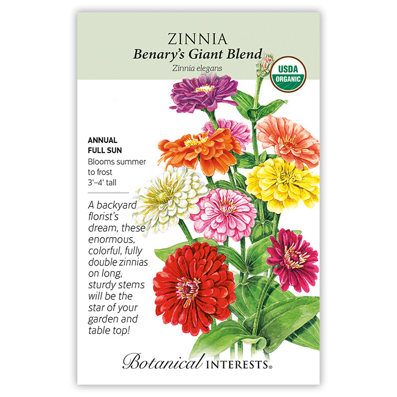Zinnia Benary's Giant Blend Organic
