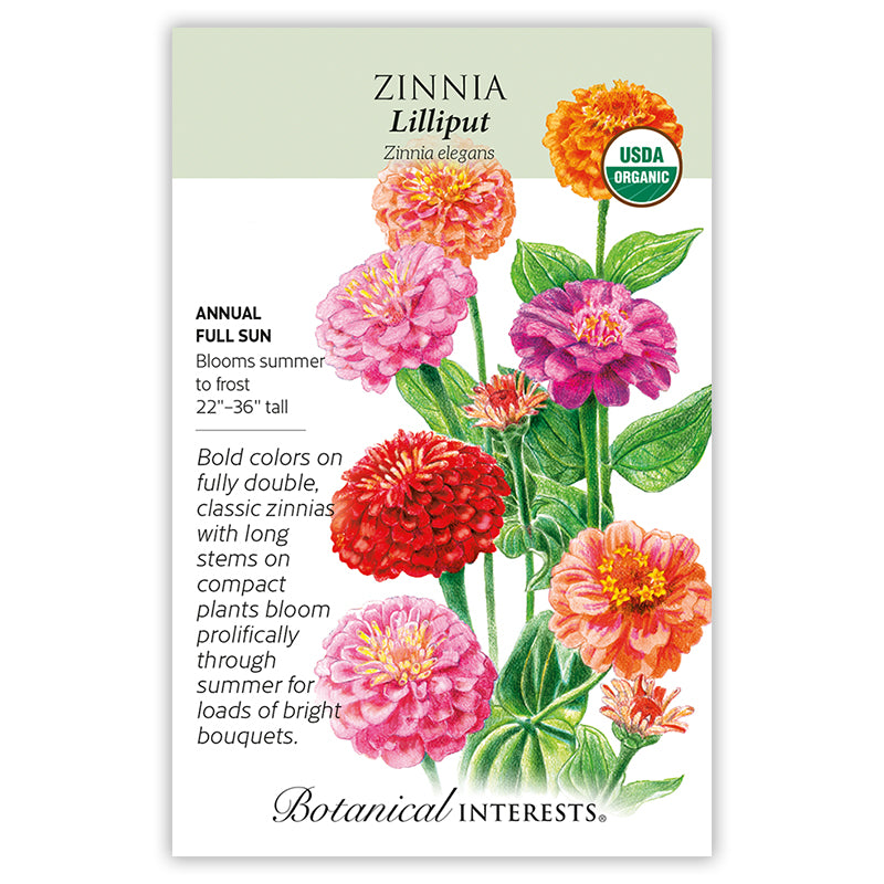 Zinnia Lilliput Organic