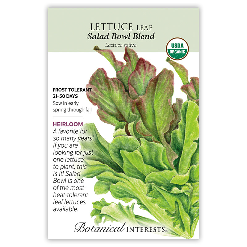 Lettuce Salad Bowl Blend Organic