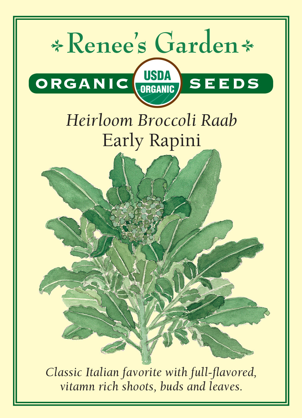 Broccoli Raab Super Rapini Organic