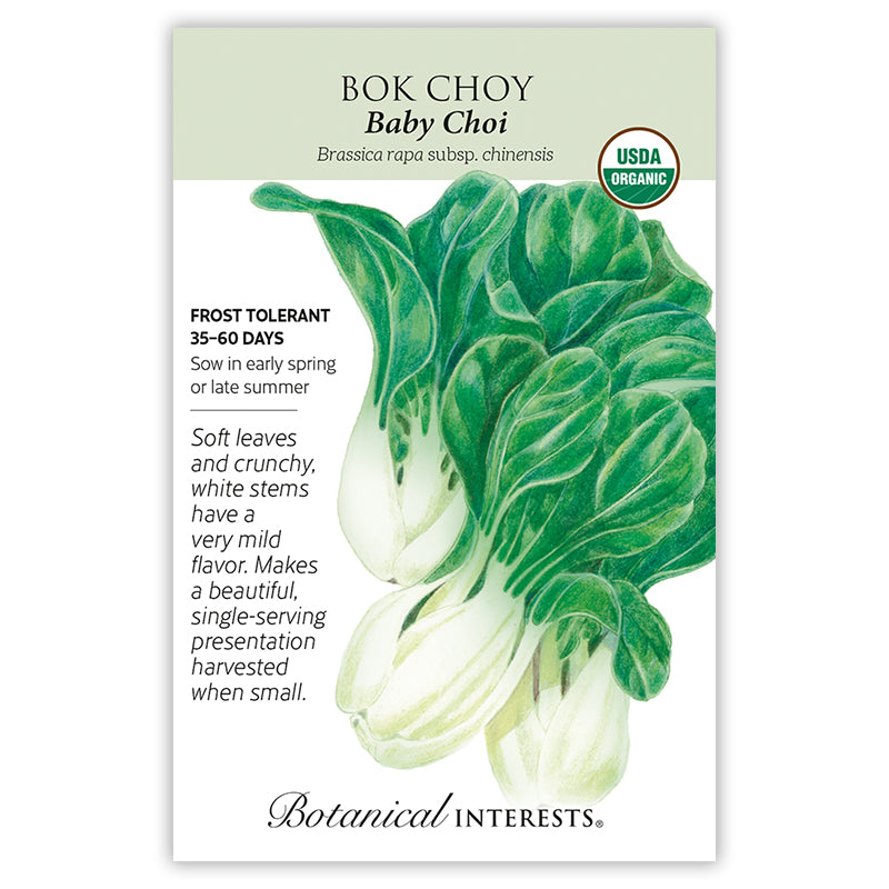 Bok Choy Baby Choi Organic