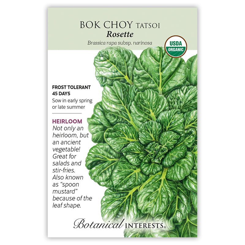 Bok Choy Tatsoi Rossette Organic