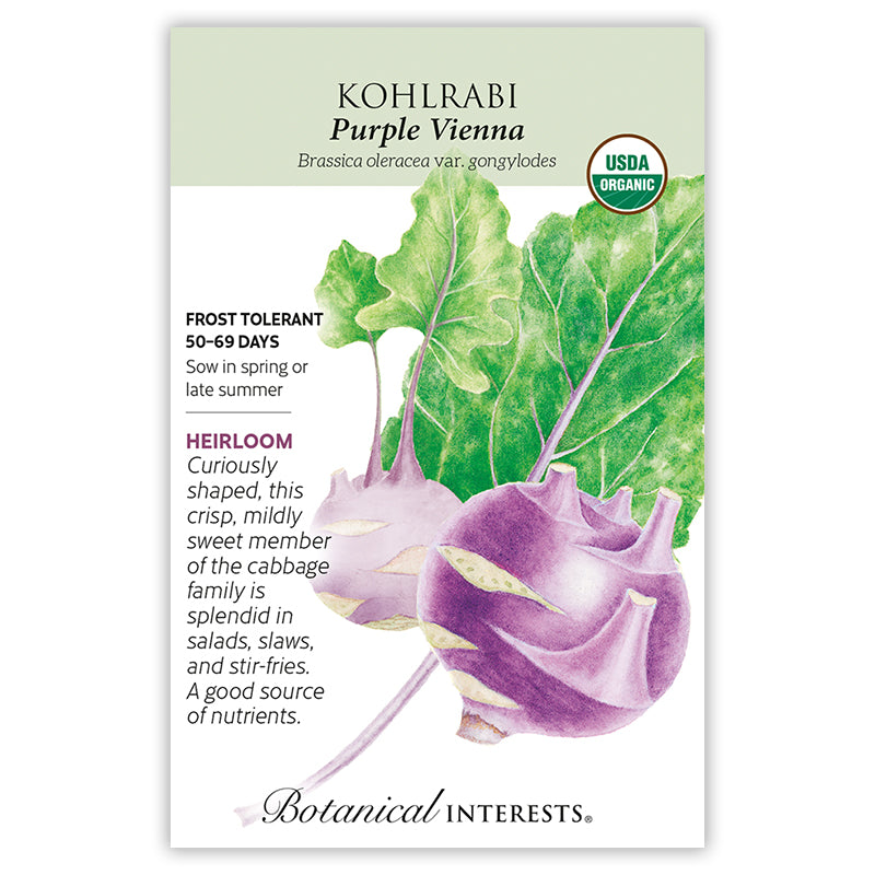 Kohlrabi Purple Vienna Organic