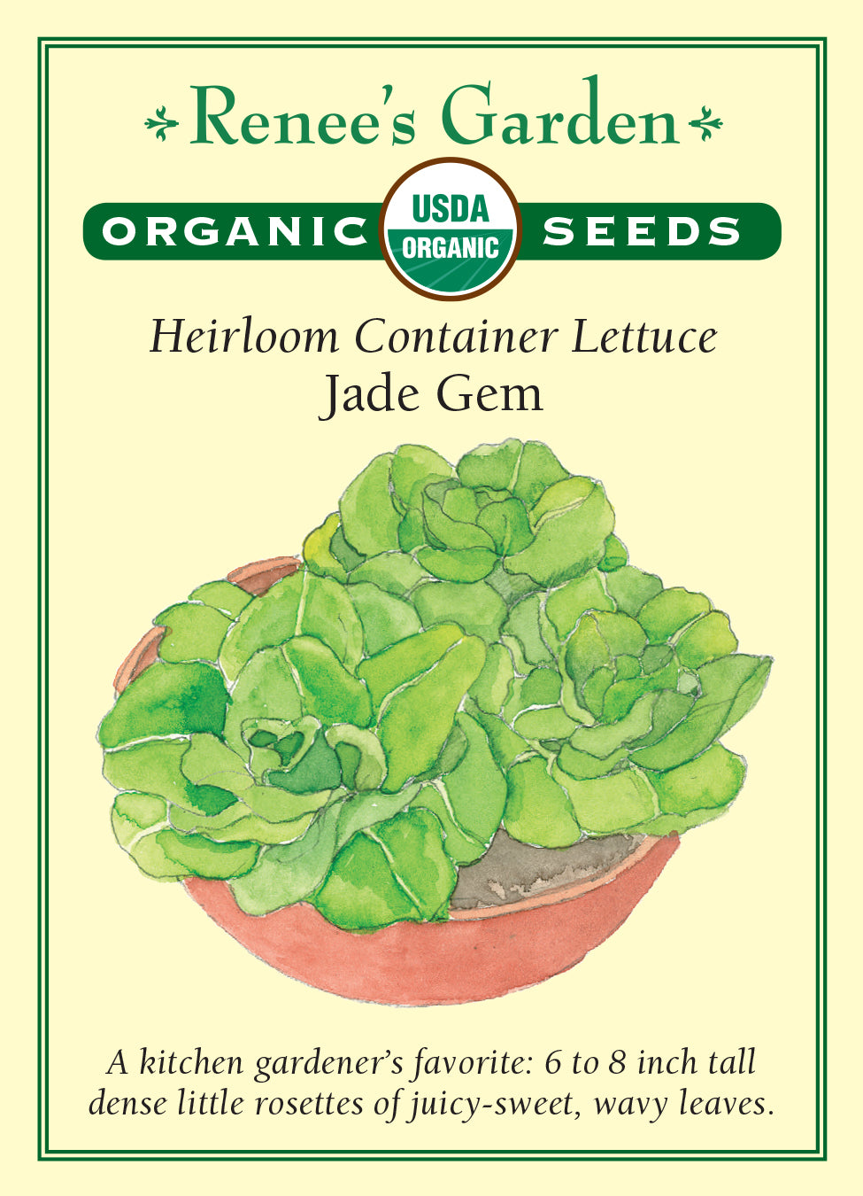 Lettuce Jade Gem Organic