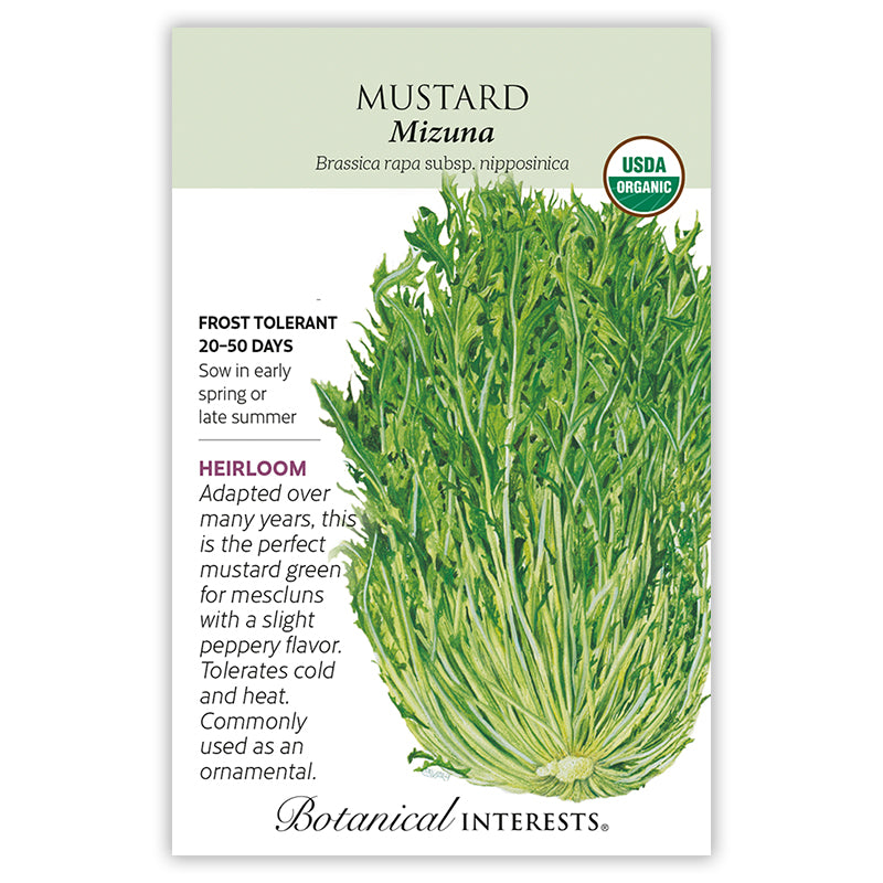 Mustard Mizuna Organic