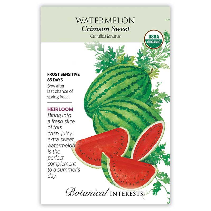 Watermelon Crimson Sweet Organic