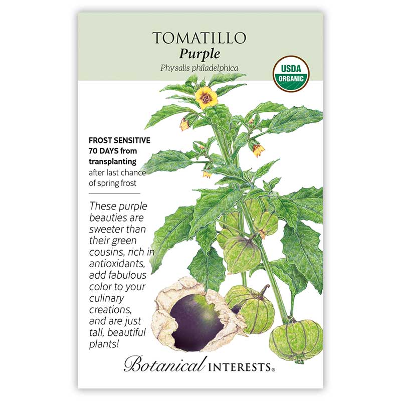Tomatillo Purple Organic
