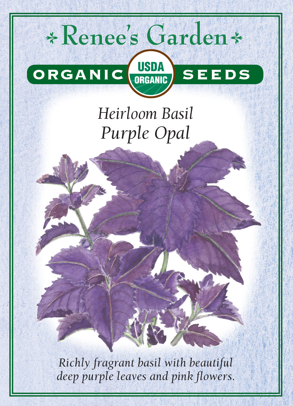 Basil Purple Opal Organic