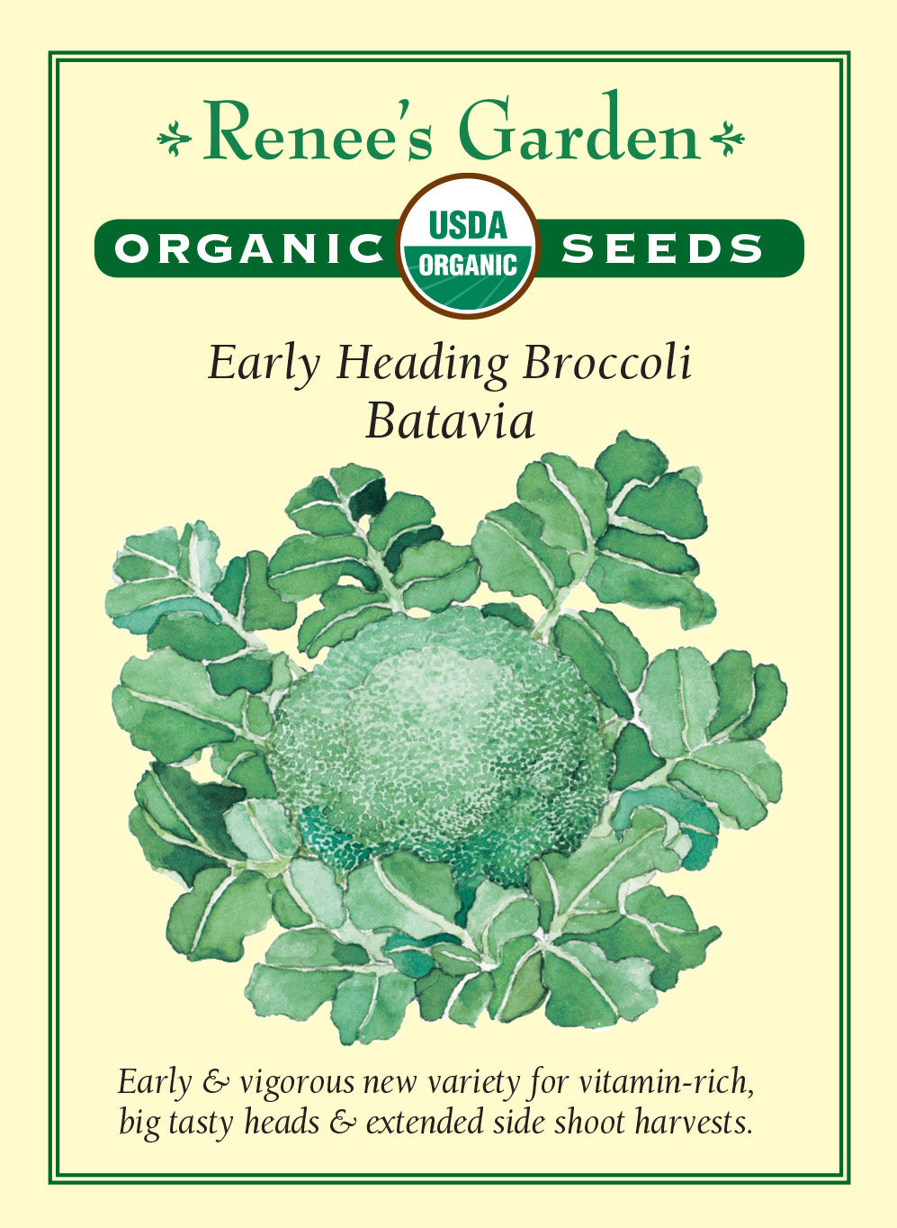 Broccoli Batavia Organic