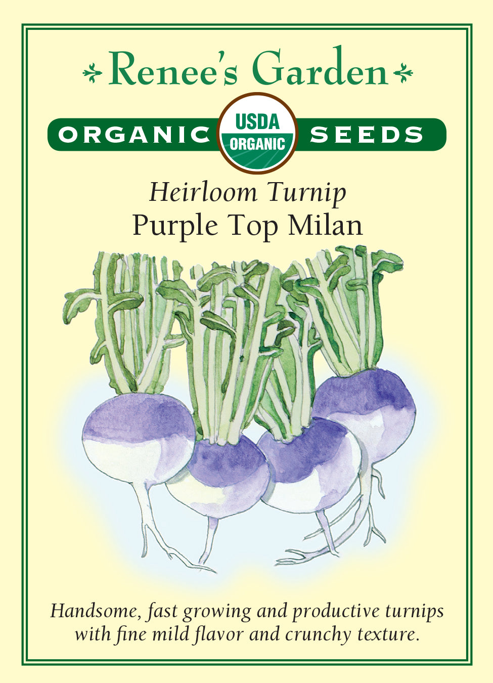 Turnip Purple Top Milan Organic