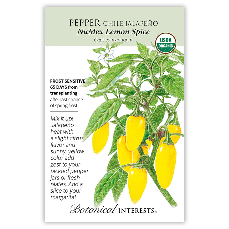 Pepper Chile Jalapeno Lemon Organic