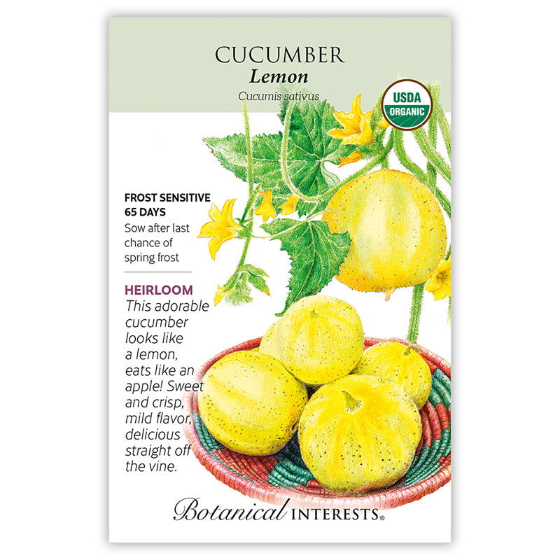 Cucumber Lemon Organic
