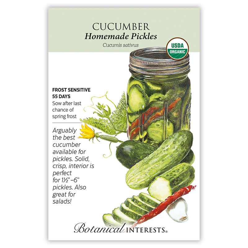 Cucumber Homemade Pickles Organic