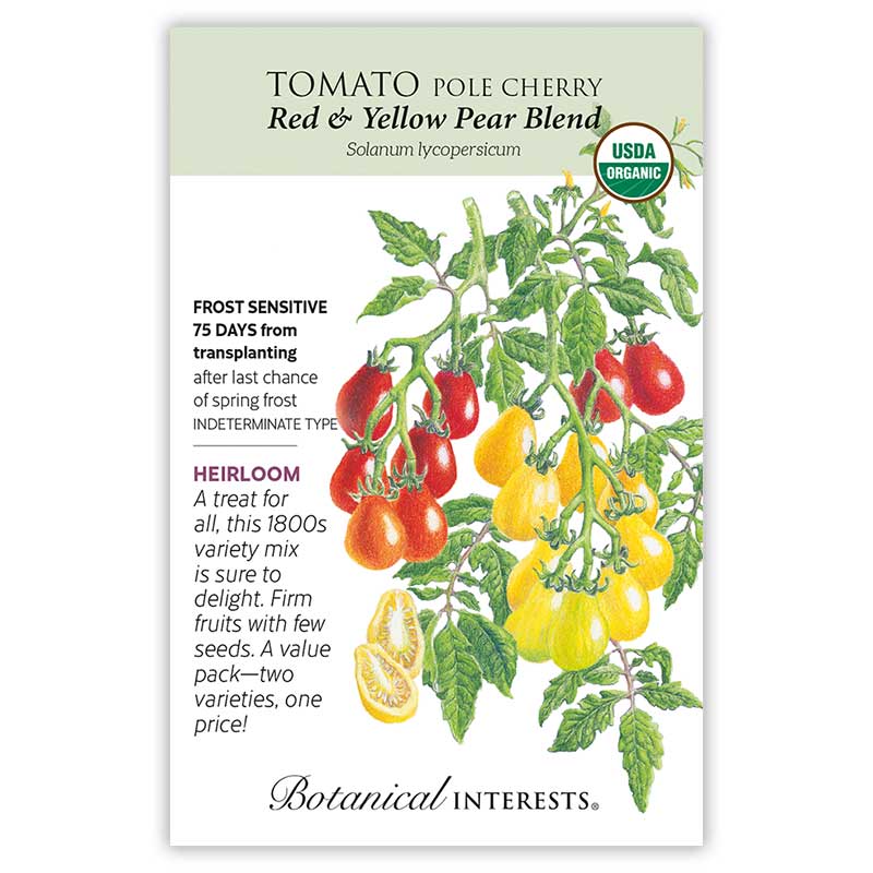Tomato Cherry Red/Yellow Pear Organic