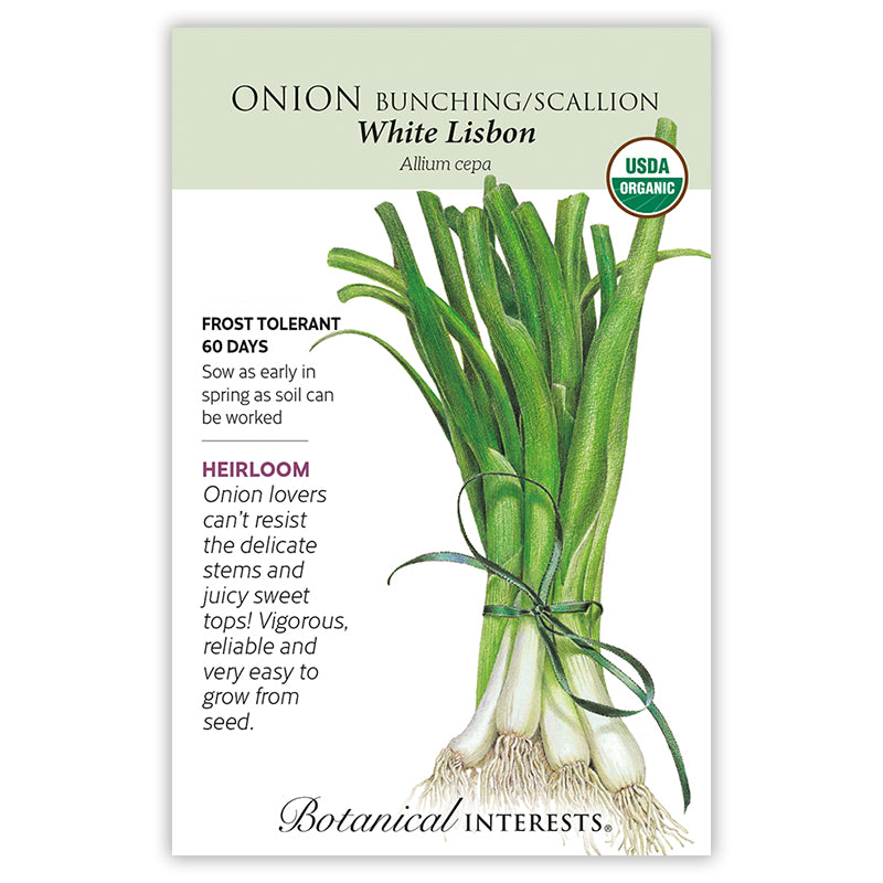 Onion Bunching white Lisbon Organic