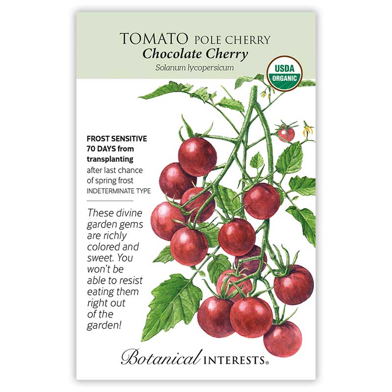 Tomato Cherry Chocolate Organic