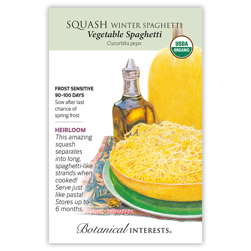 Squash Winter Spaghetti Organic