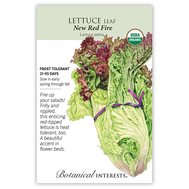 Lettuce New Red Fire Organic