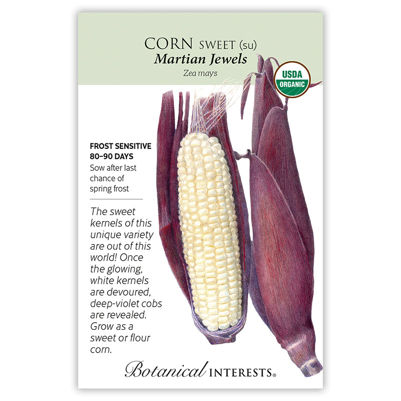 Corn Sweet white Martian Jewel Organic